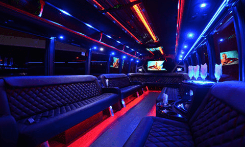 Arvada 30 Passenger Party Bus Black Interior