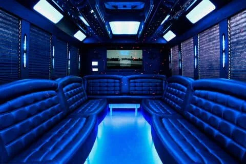 36 Passenger Party Bus interior